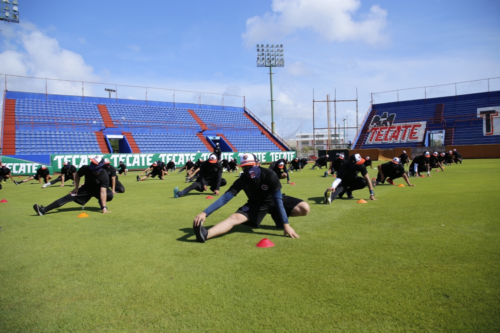 Todo listo para la pretemporada felina