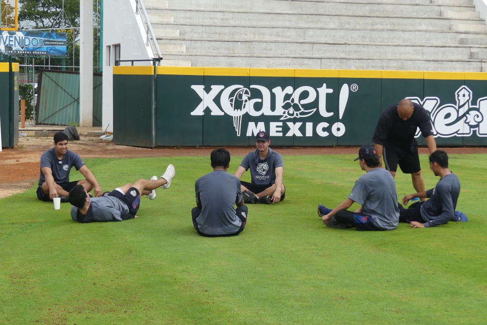 Arranca Minicamp felino