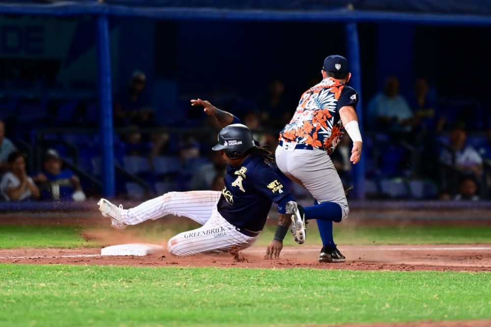 Tigres lucha pero al final cae